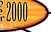 rave un2 the year 2000